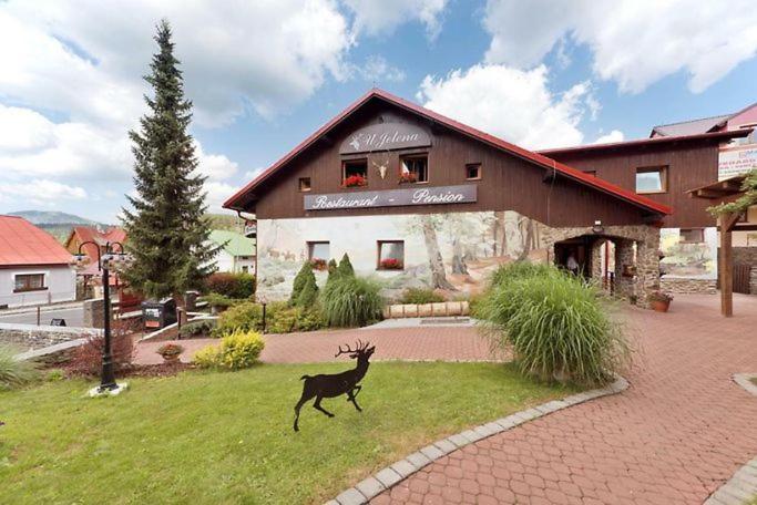Penzion U Jelena Železná Ruda Exteriör bild